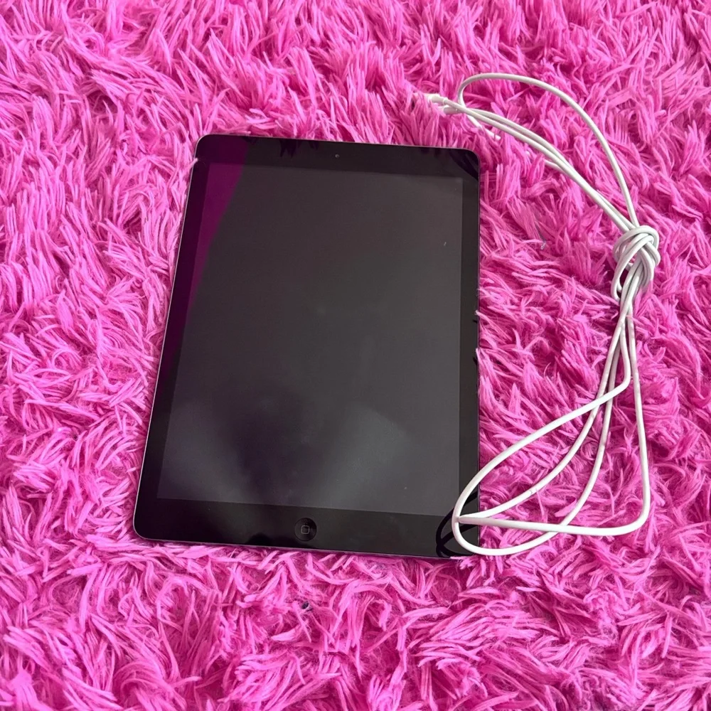 Apple iPad with Charger - Gray